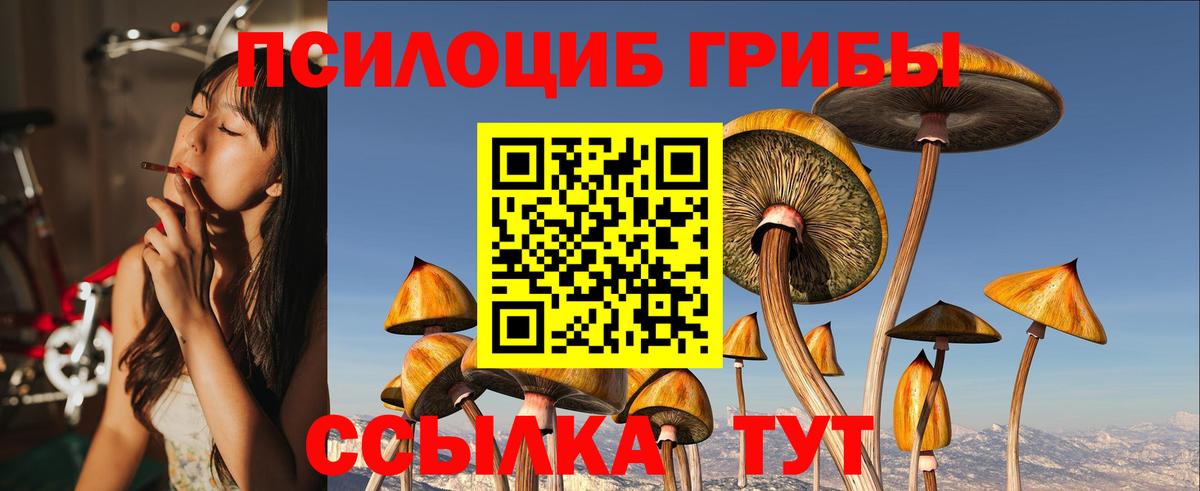 Псилоцибиновые грибы MAGIC MUSHROOMS  Вход с VPN  купить наркотики цена  Старая Купавна 