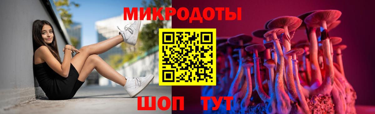 Псилоцибиновые грибы Psilocybine cubensis Старая Купавна